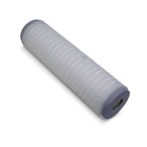 DynaMAX 10" Water Filter, .22 Micron
