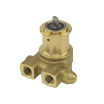 Rotary Vane Pump 100 GPH