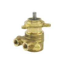 Rotary Vane Pump 100 GPH