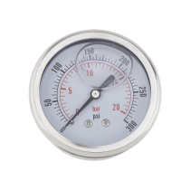 Pressure Gauge 2 1/2 in.