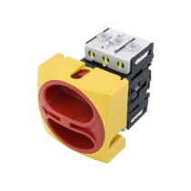 Disconnect Switch 25A