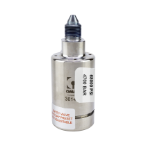 EnduroMAX Pressure Relief Valve Assembly