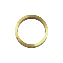 Check Valve Support Ring