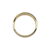 Check Valve Inlet Internal Ring Seal