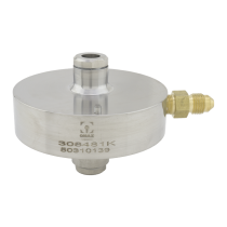 Check Valve Body Assembly