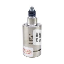 Maxiem Pressure Relief Valve Assembly