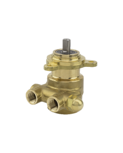 Rotary Vane Pump 100 GPH